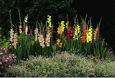 合作生存恐怖《FOREWARNED》新预告 9月10日Steam抢测